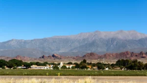 Promo Altura con Rastro | Tours + Circuitos